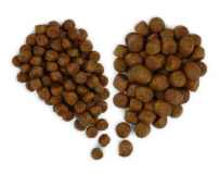 granule
